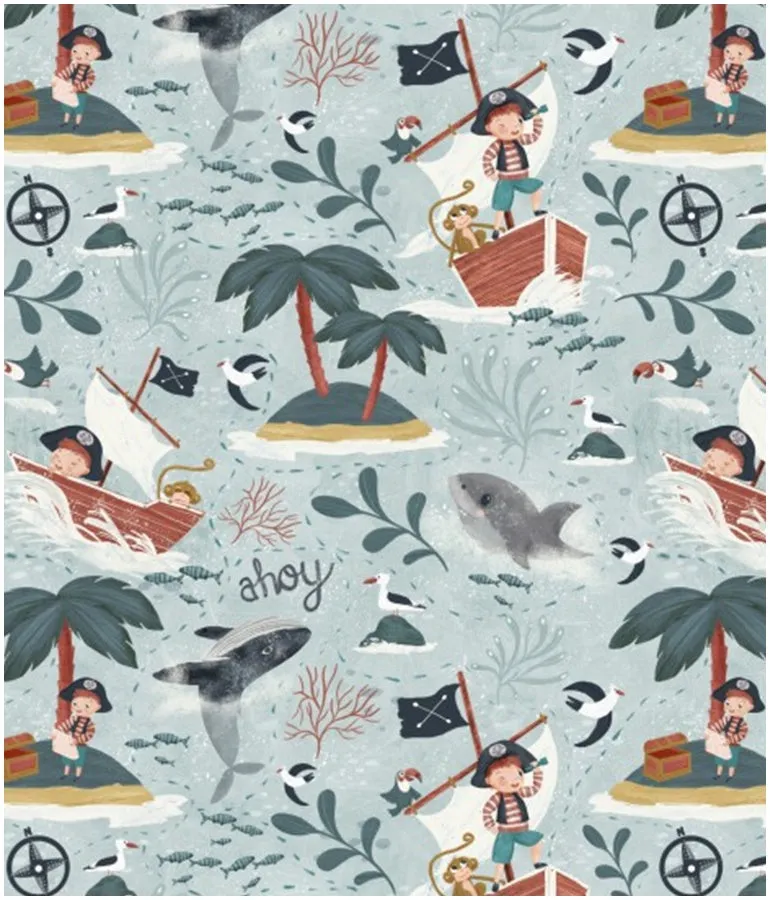 A Pirate's Adventure Bib