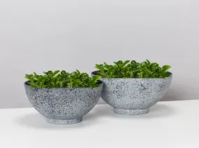Aegean Bowl Lightweight Eco Planter - 2 Set