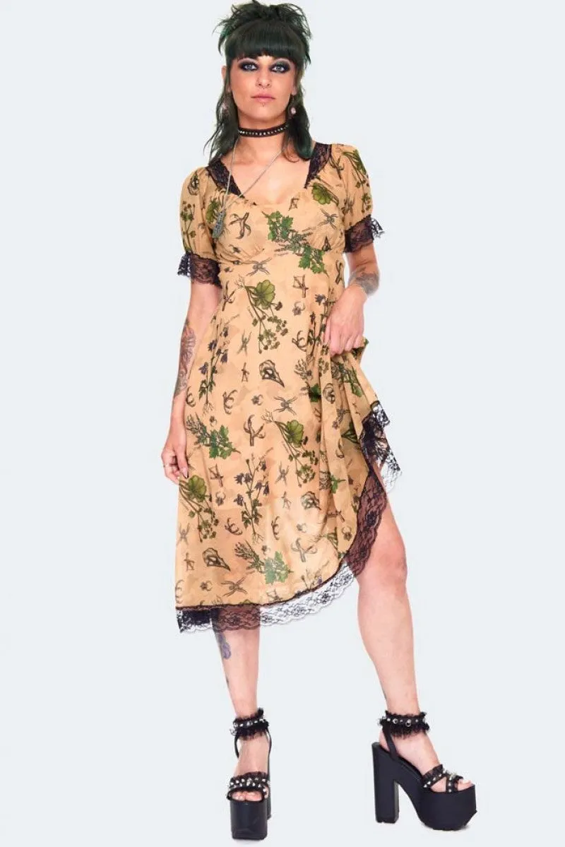 Apothecary Beige Lace Accented Slip Dress
