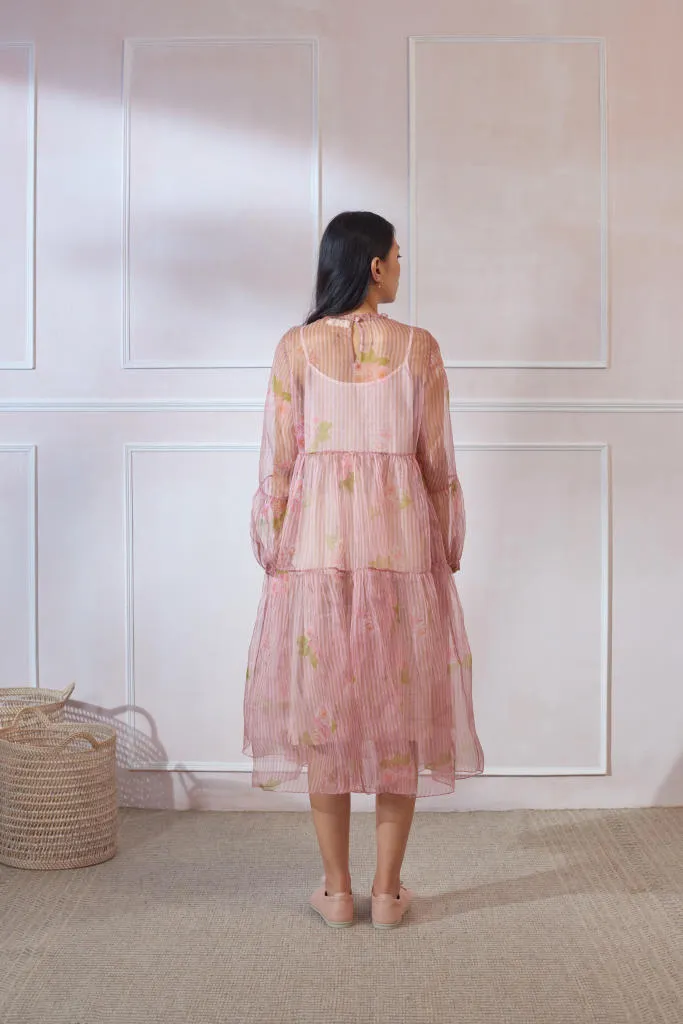 Hazari Mogra Silk Organza Midi Dress