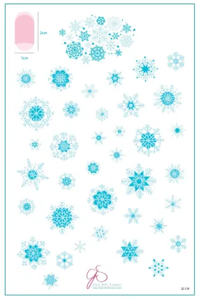 In the Frosty Air (CjSC-24) Steel Nail Art Stamping Plate