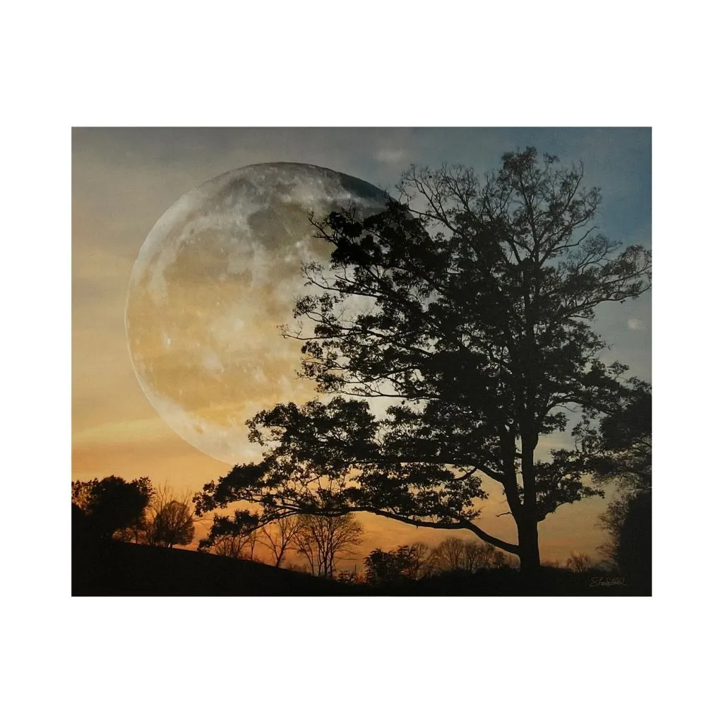 Moon and Tree in Sunset Composite Photograph
