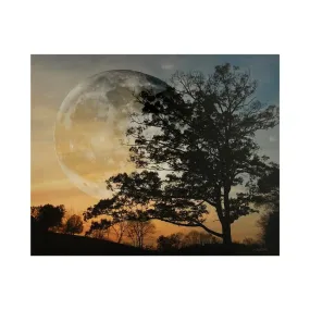 Moon and Tree in Sunset Composite Photograph