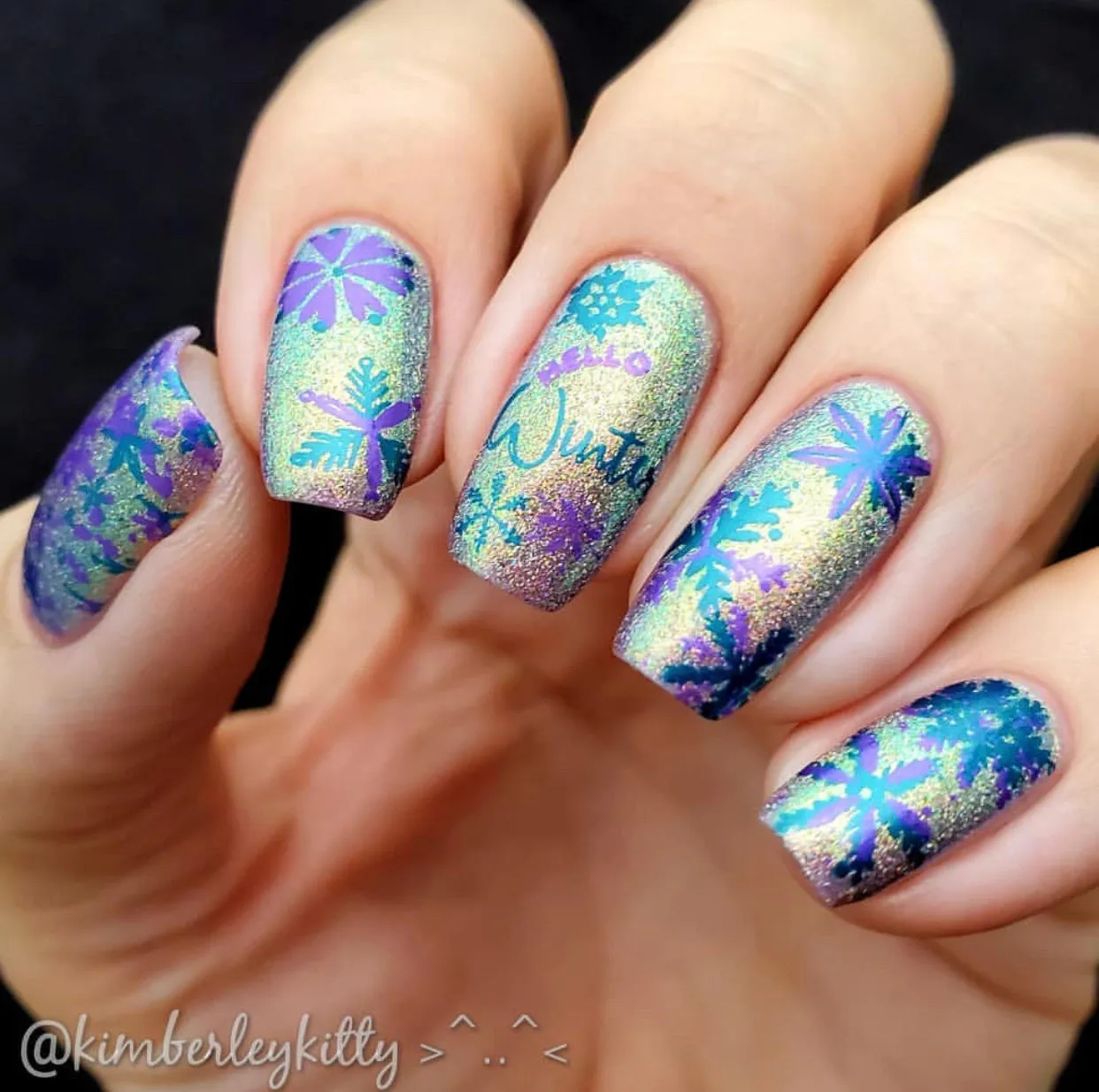 Painted Snowflakes (CjSC-30) Steel Nail Art Stamping Plate