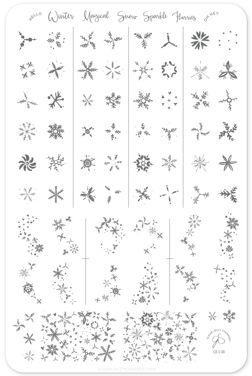 Painted Snowflakes (CjSC-30) Steel Nail Art Stamping Plate
