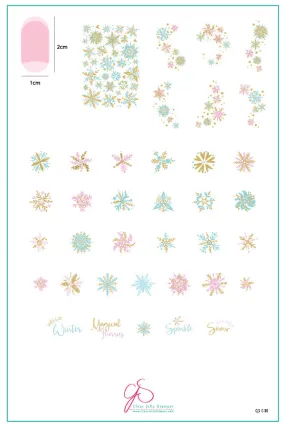 Painted Snowflakes (CjSC-30) Steel Nail Art Stamping Plate