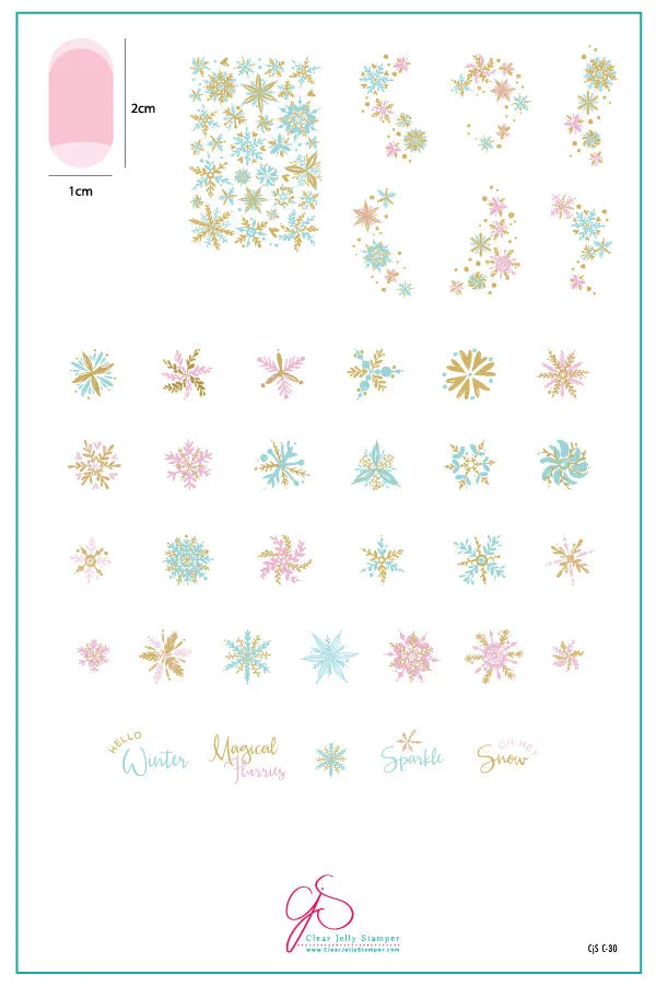 Painted Snowflakes (CjSC-30) Steel Nail Art Stamping Plate